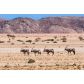 namibia4