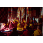 tibet6