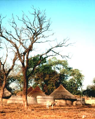 Fotogalerie - Afrika